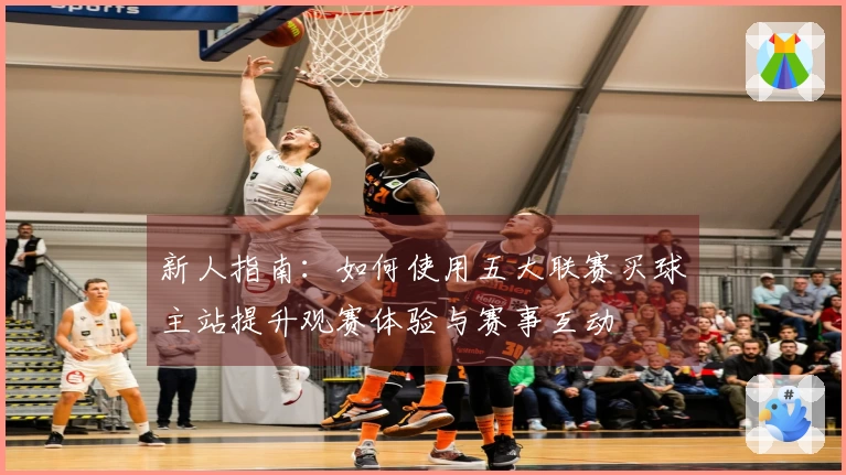 新人指南：如何使用五大联赛买球主站提升观赛体验与赛事互动