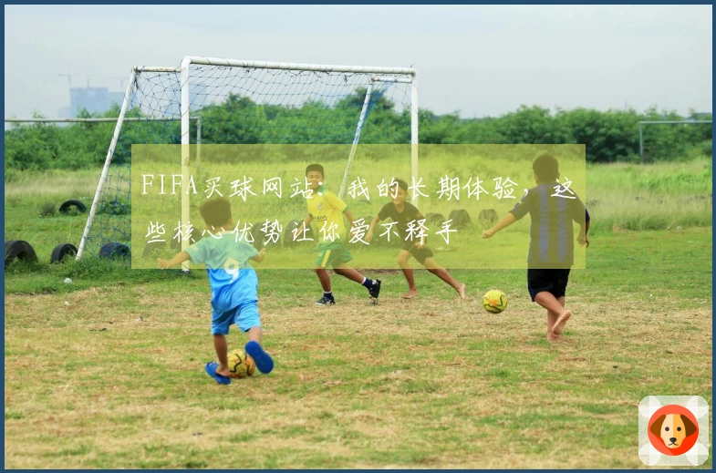 FIFA买球网站：我的长期体验，这些核心优势让你爱不释手