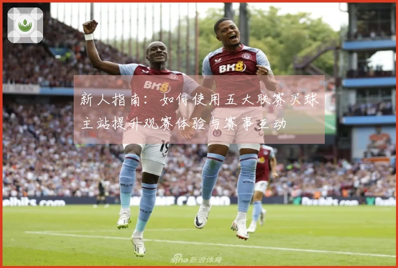 新人指南：如何使用五大联赛买球主站提升观赛体验与赛事互动
